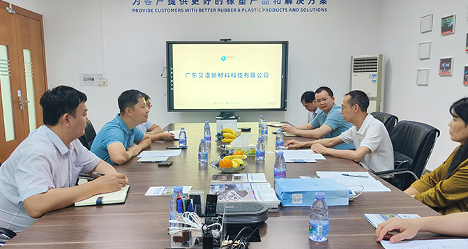 东莞市工信局、市倍增办领导一行莅临J9直营集团新材参观指导